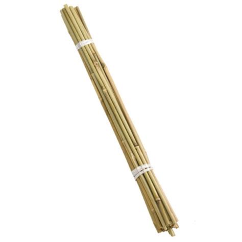 bamboo walking cane|240cm bamboo canes.